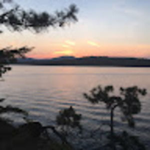 Meet your Posher, Ann